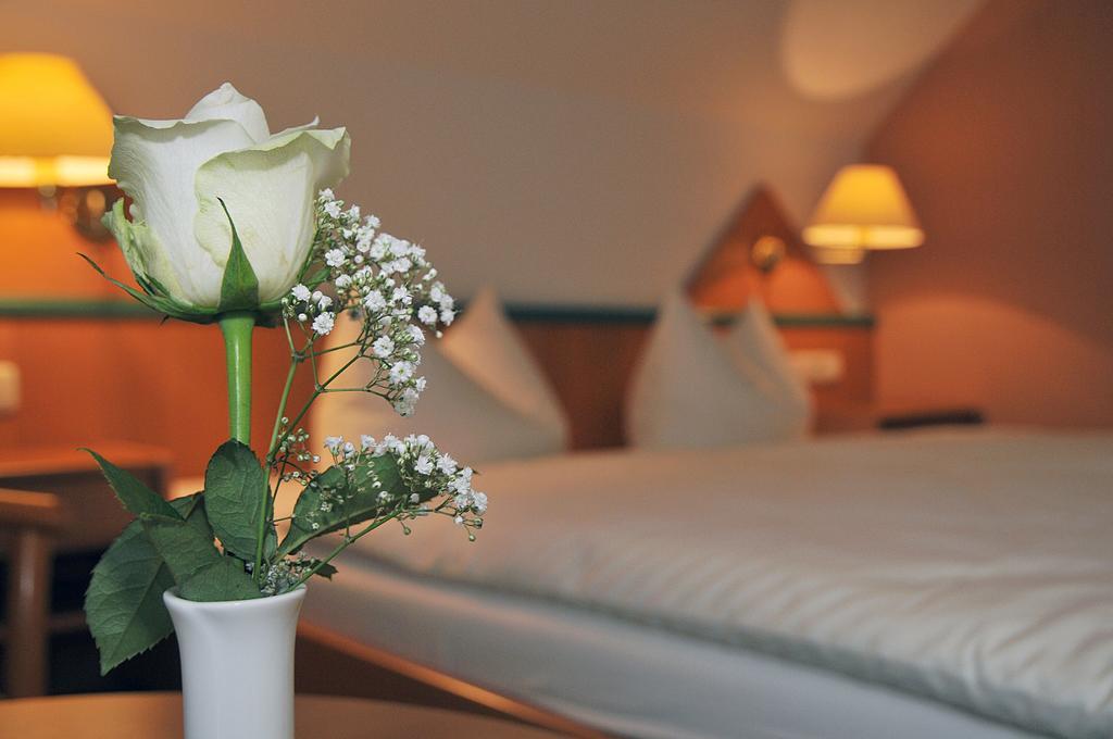 Friesen Hotel 3*